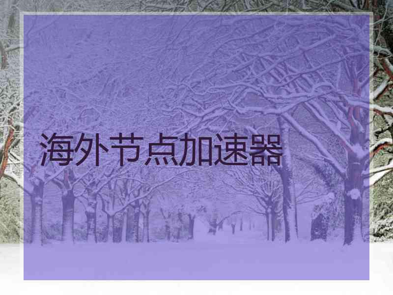 海外节点加速器
