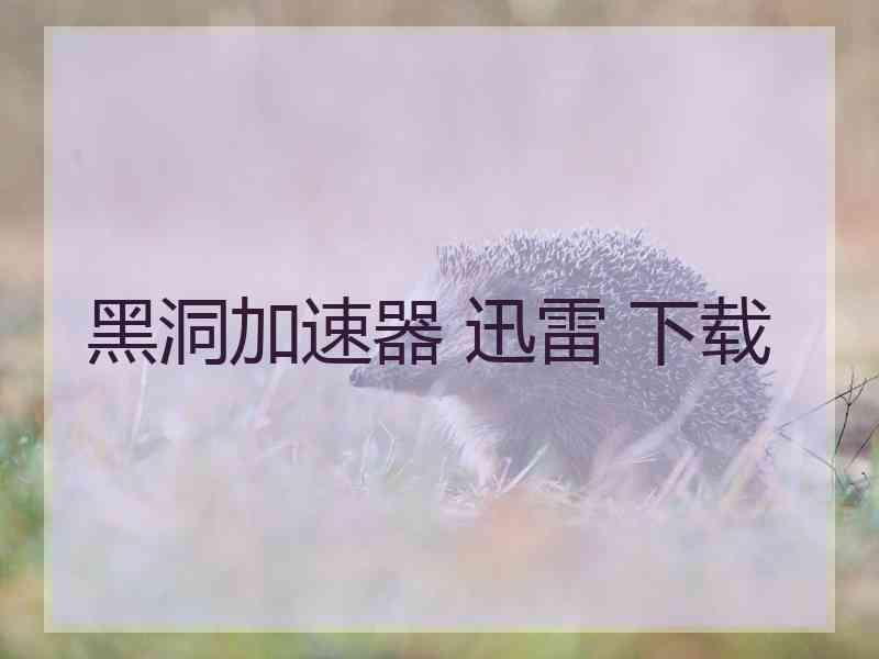 黑洞加速器 迅雷 下载