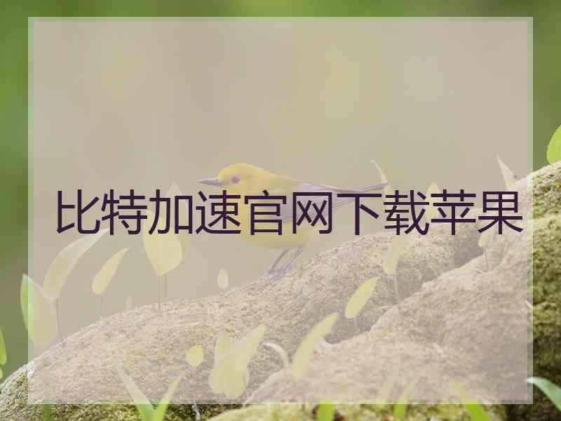 比特加速官网下载苹果