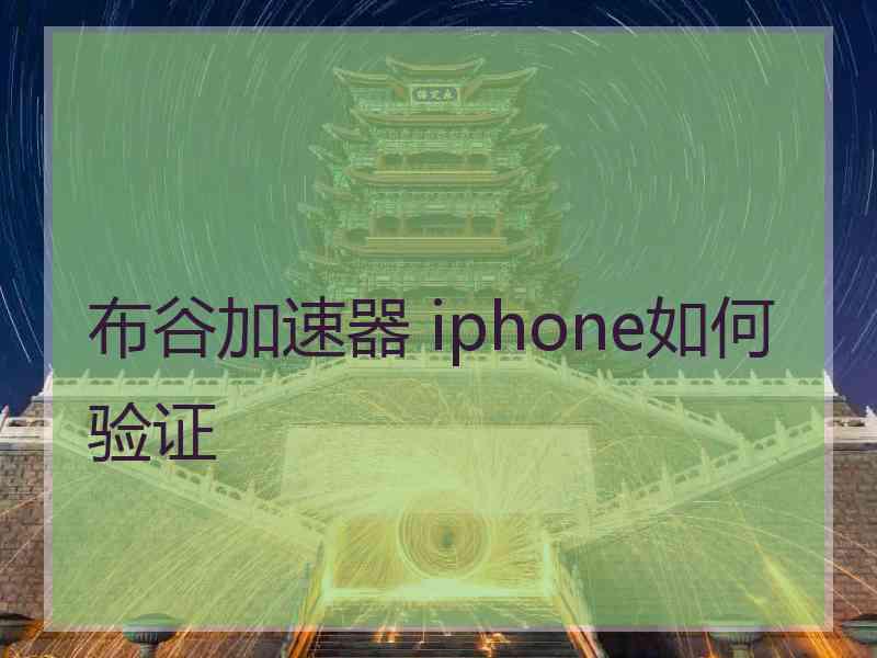 布谷加速器 iphone如何验证