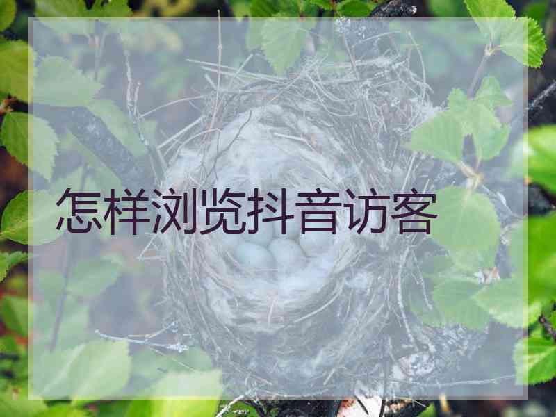 怎样浏览抖音访客