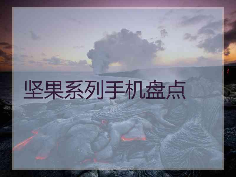 坚果系列手机盘点