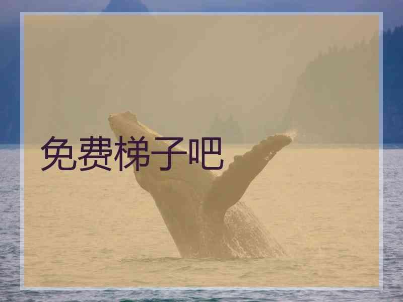 免费梯子吧