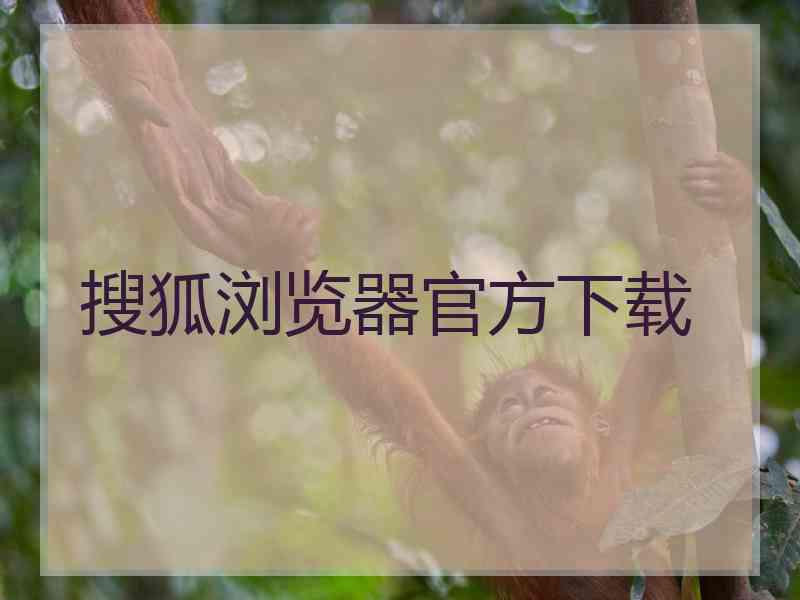 搜狐浏览器官方下载