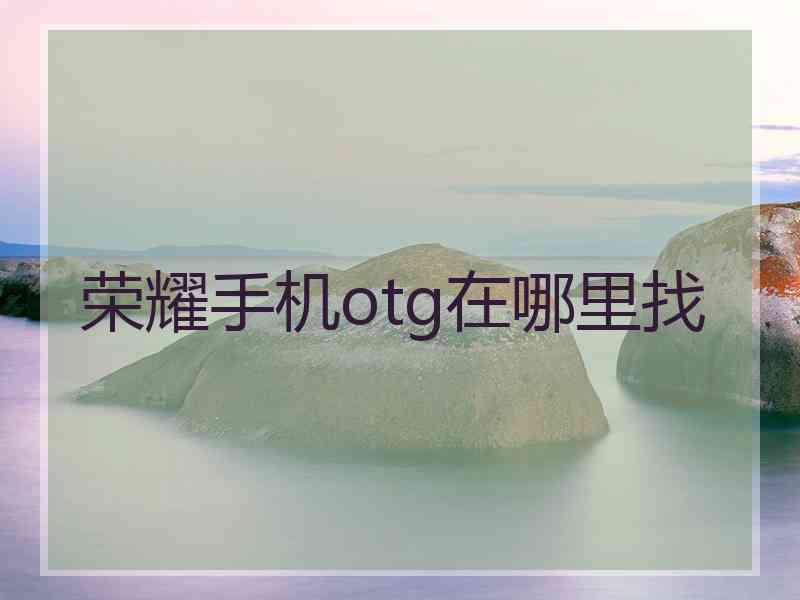 荣耀手机otg在哪里找