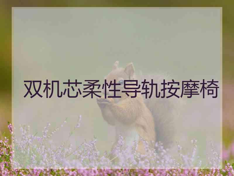 双机芯柔性导轨按摩椅