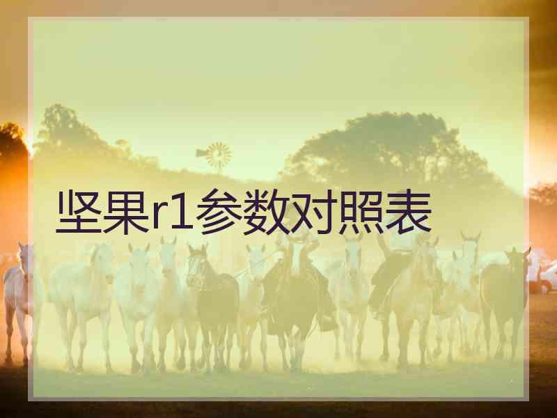 坚果r1参数对照表
