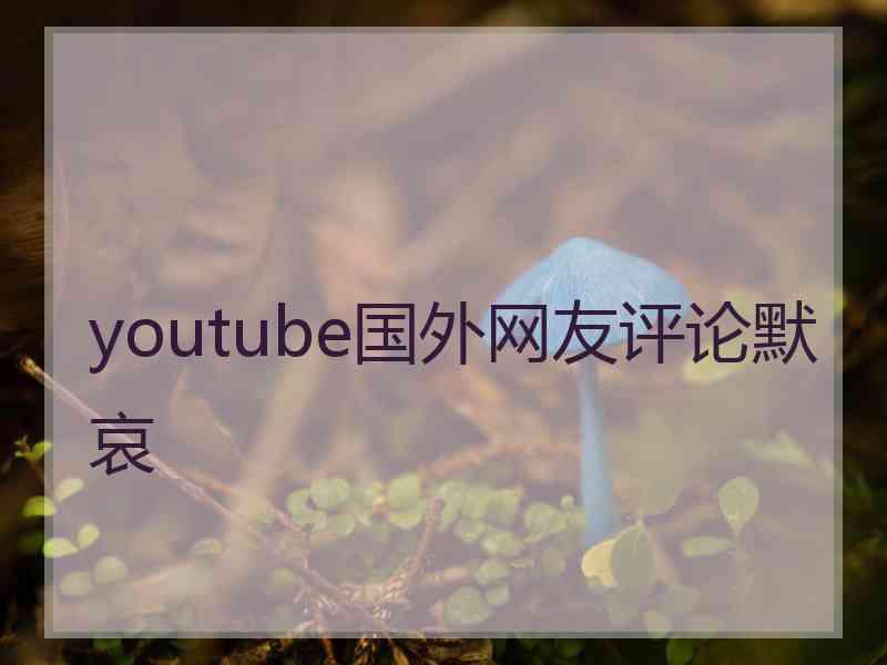 youtube国外网友评论默哀