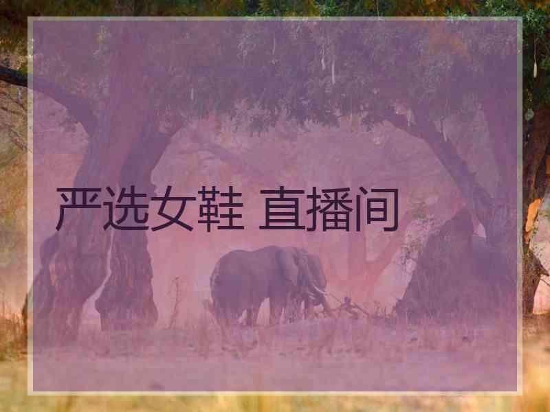 严选女鞋 直播间