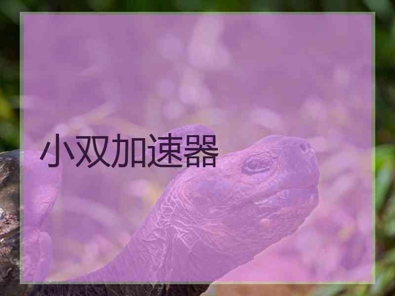 小双加速器