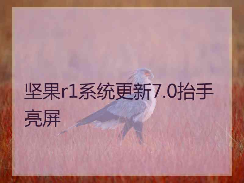 坚果r1系统更新7.0抬手亮屏