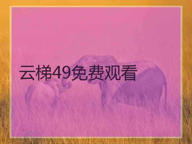 云梯49免费观看