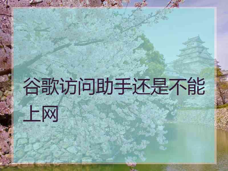 谷歌访问助手还是不能上网