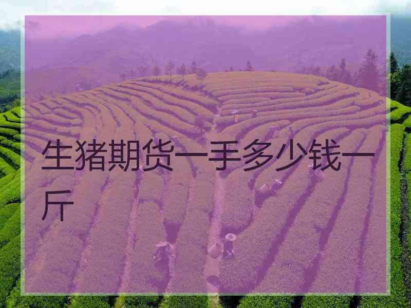 生猪期货一手多少钱一斤