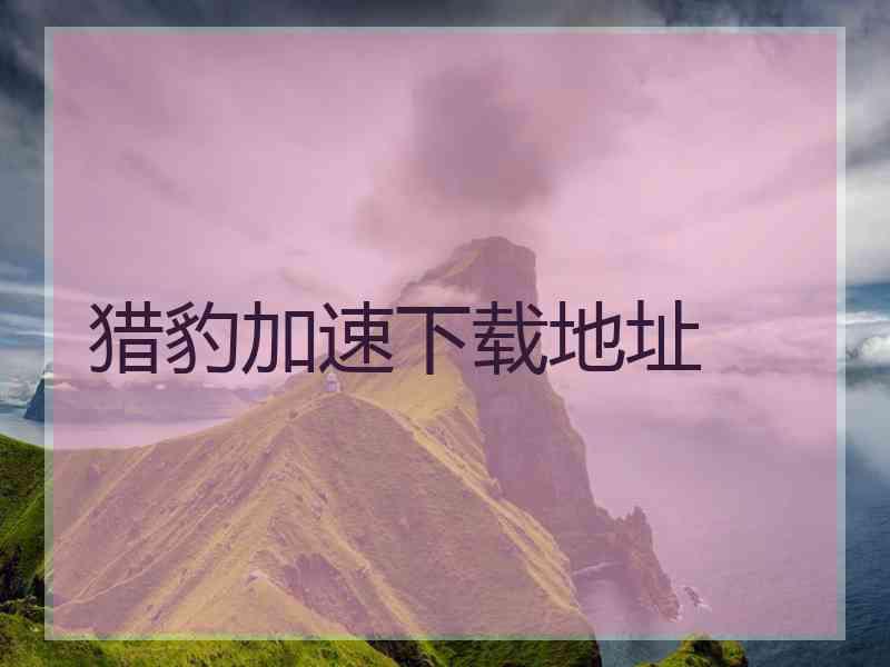 猎豹加速下载地址