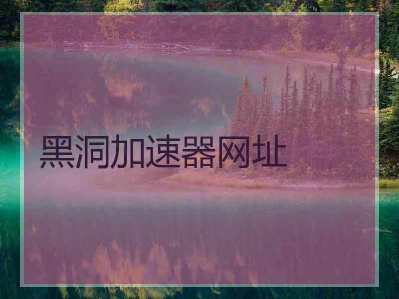 黑洞加速器网址