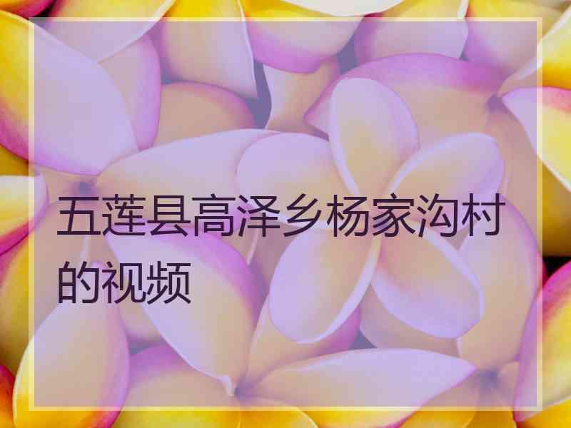 五莲县高泽乡杨家沟村的视频