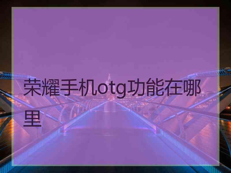 荣耀手机otg功能在哪里