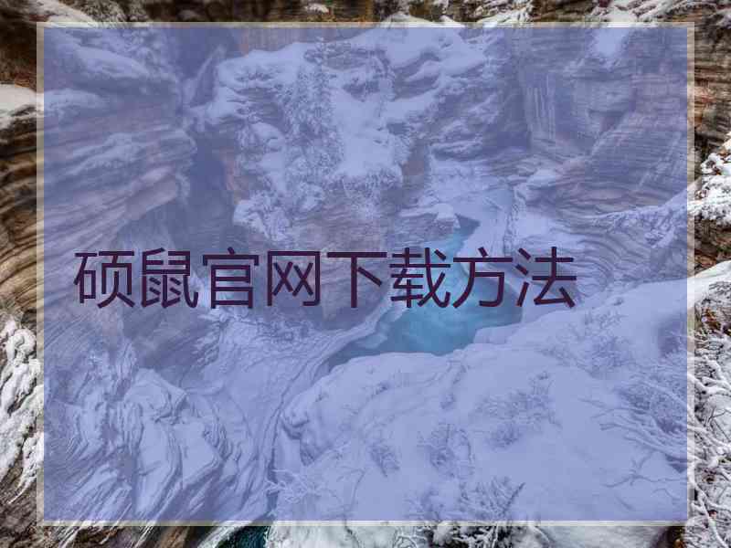 硕鼠官网下载方法