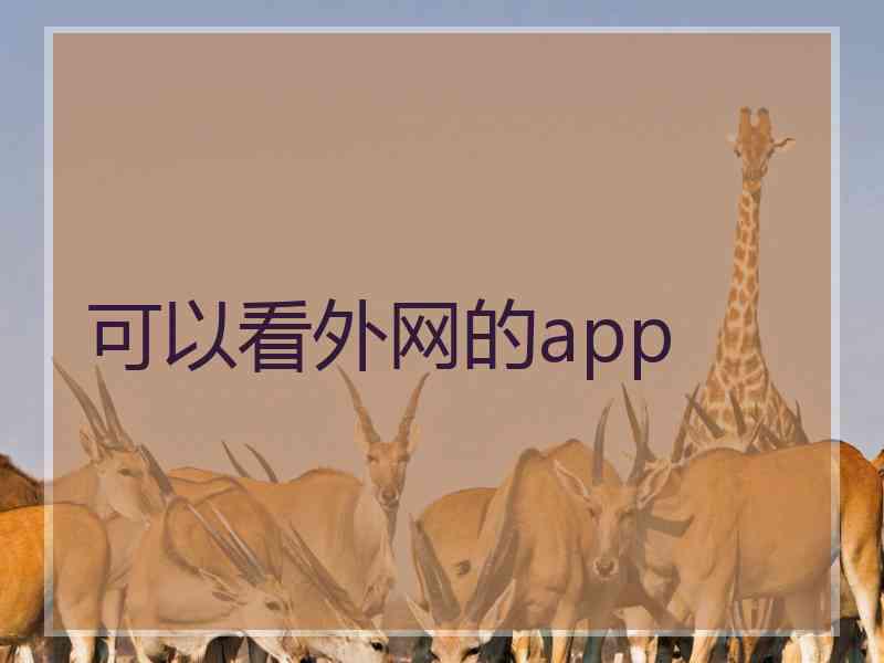 可以看外网的app