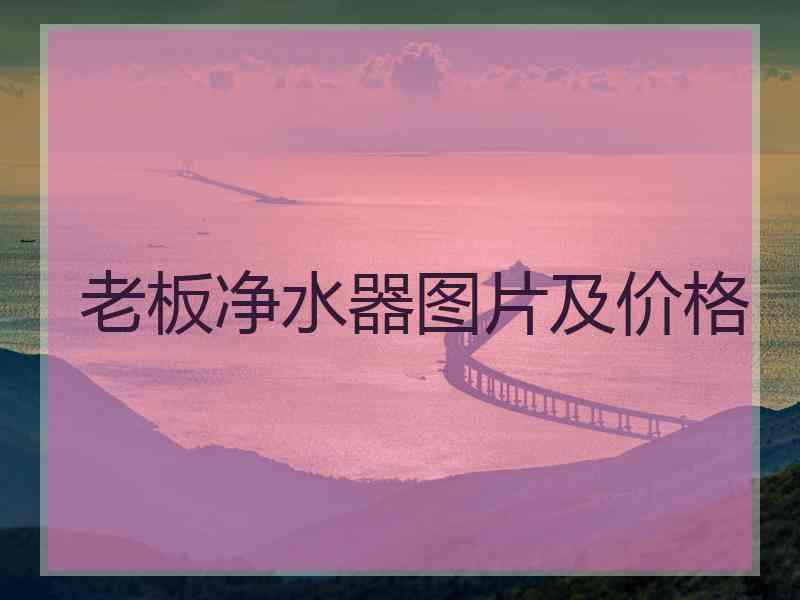 老板净水器图片及价格