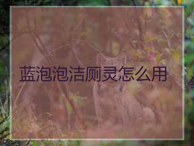 蓝泡泡洁厕灵怎么用