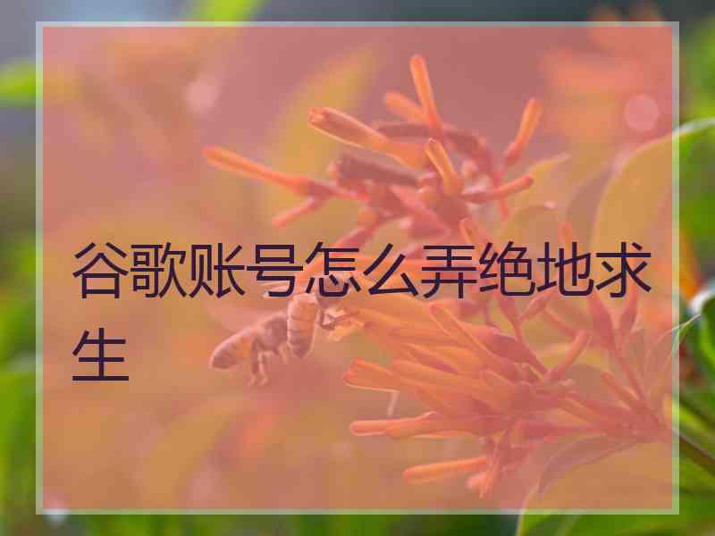 谷歌账号怎么弄绝地求生