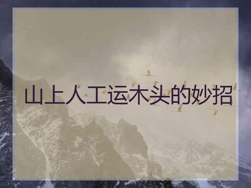 山上人工运木头的妙招