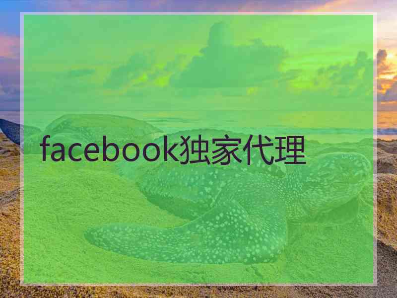 facebook独家代理