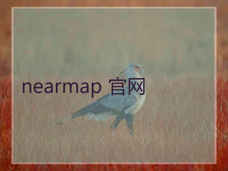 nearmap 官网