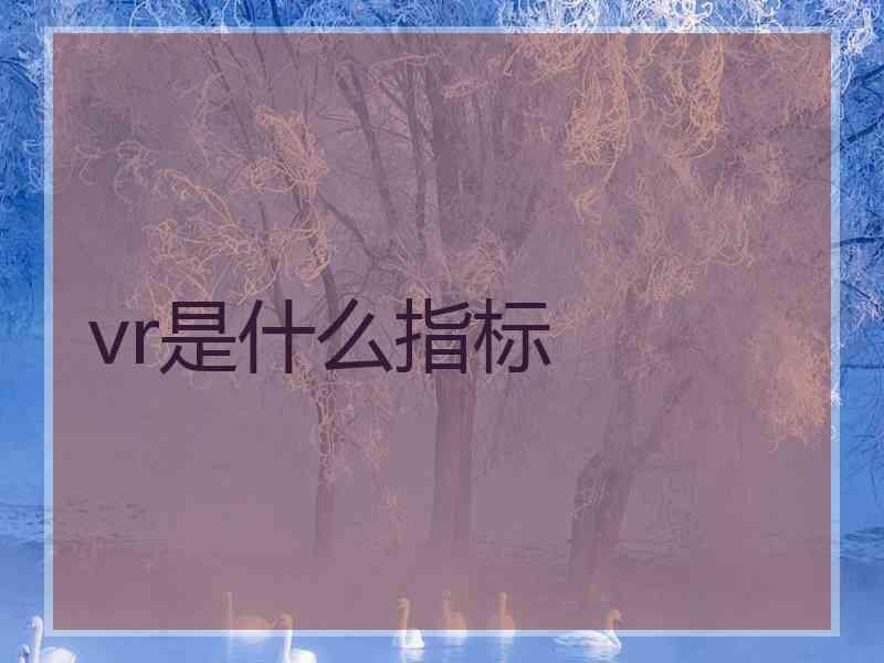 vr是什么指标