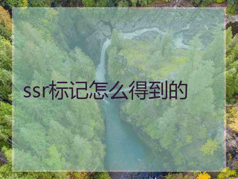 ssr标记怎么得到的