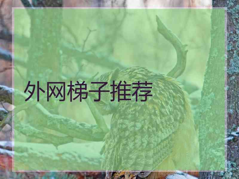 外网梯子推荐