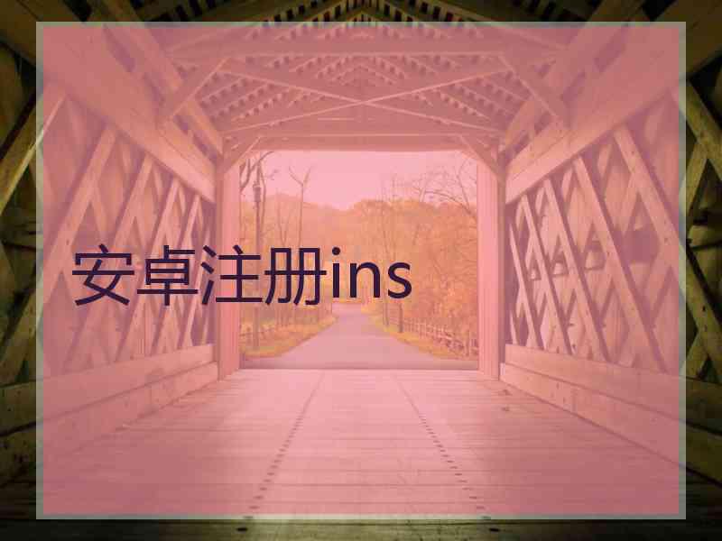 安卓注册ins