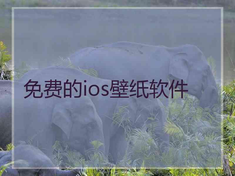 免费的ios壁纸软件