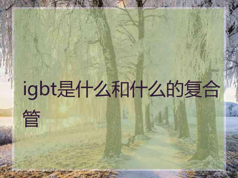 igbt是什么和什么的复合管