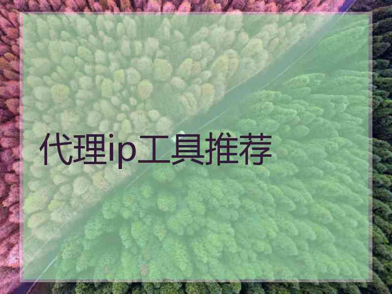 代理ip工具推荐