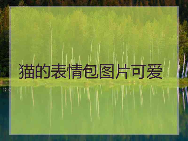 猫的表情包图片可爱