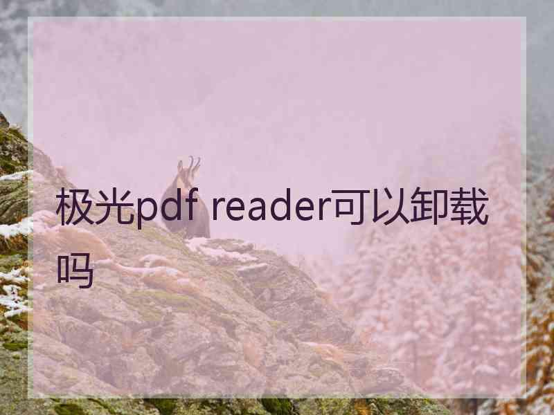 极光pdf reader可以卸载吗