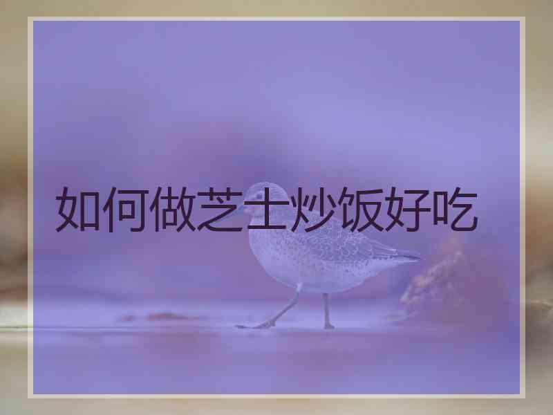 如何做芝士炒饭好吃