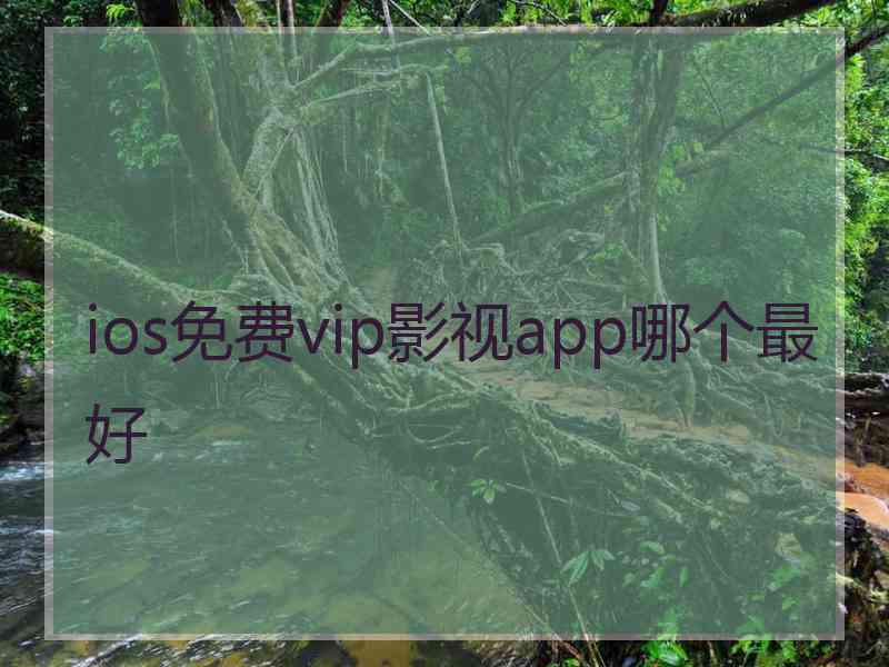 ios免费vip影视app哪个最好