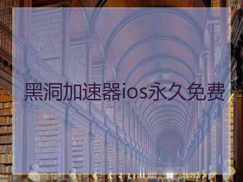 黑洞加速器ios永久免费
