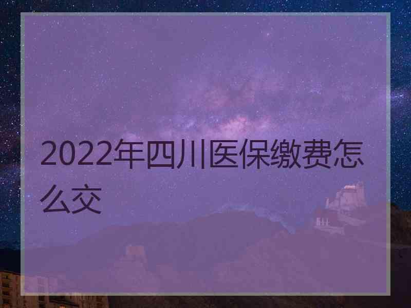 2022年四川医保缴费怎么交