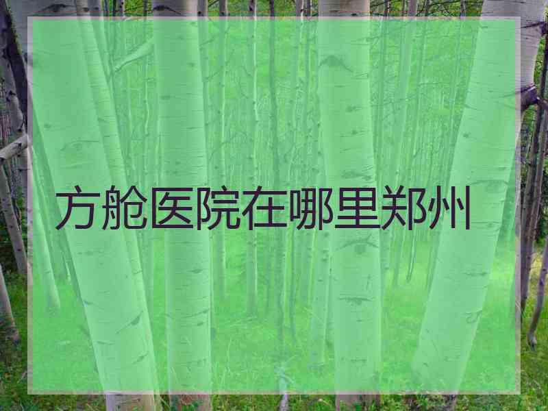 方舱医院在哪里郑州