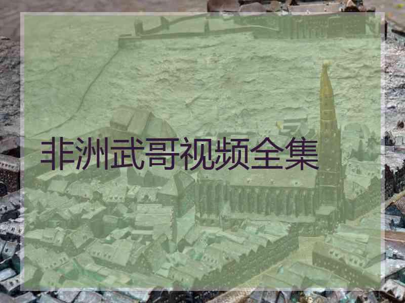 非洲武哥视频全集