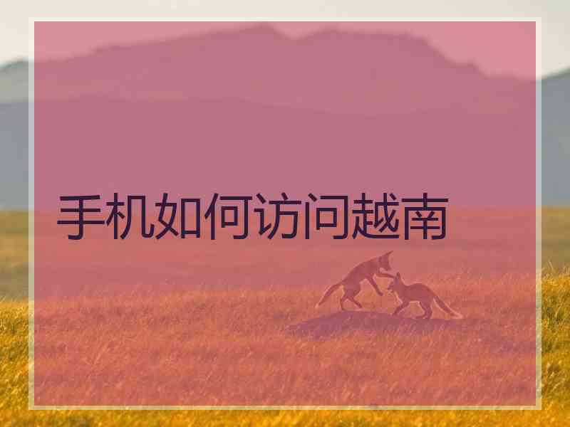 手机如何访问越南