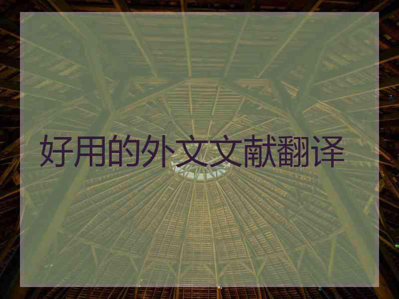 好用的外文文献翻译