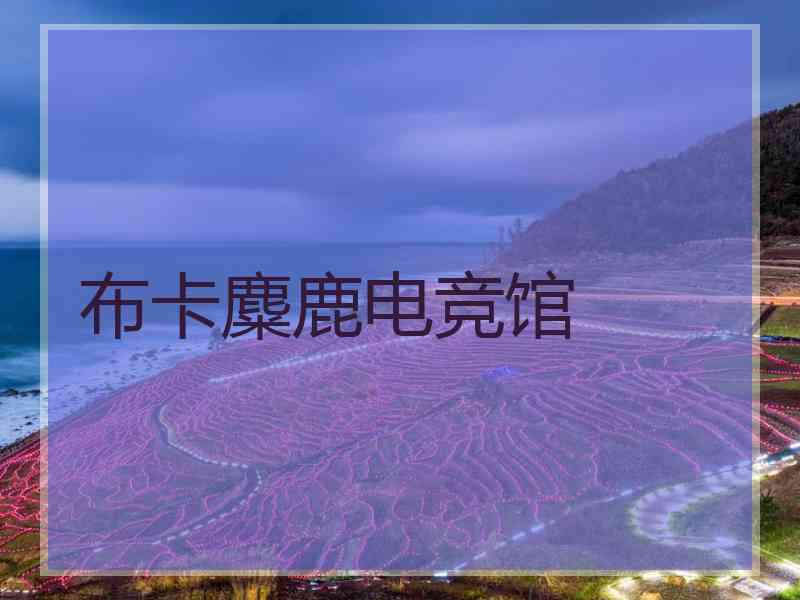 布卡麋鹿电竞馆