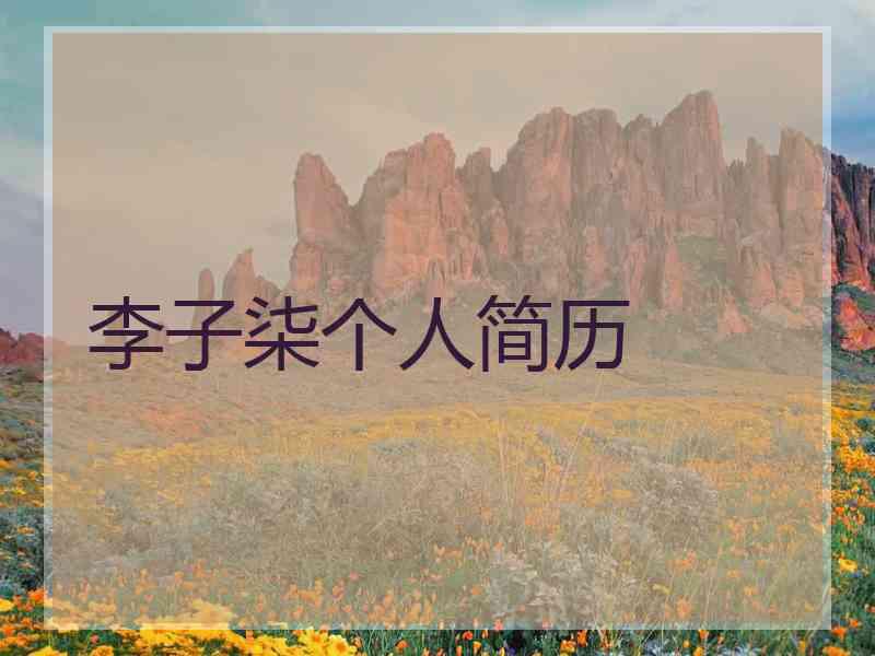 李子柒个人简历