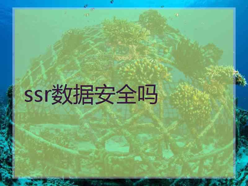ssr数据安全吗